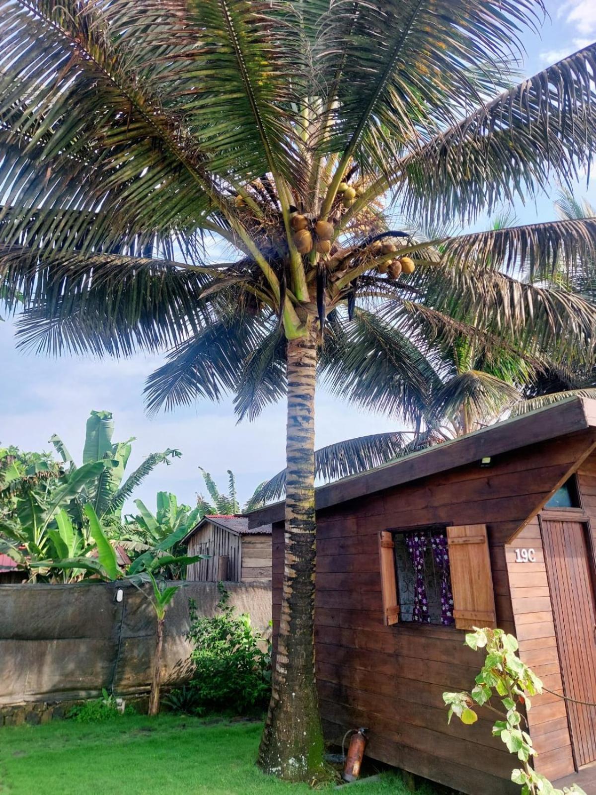 Villa Gente D'Aqui Nge D'Ai Ee Sao Tome Esterno foto