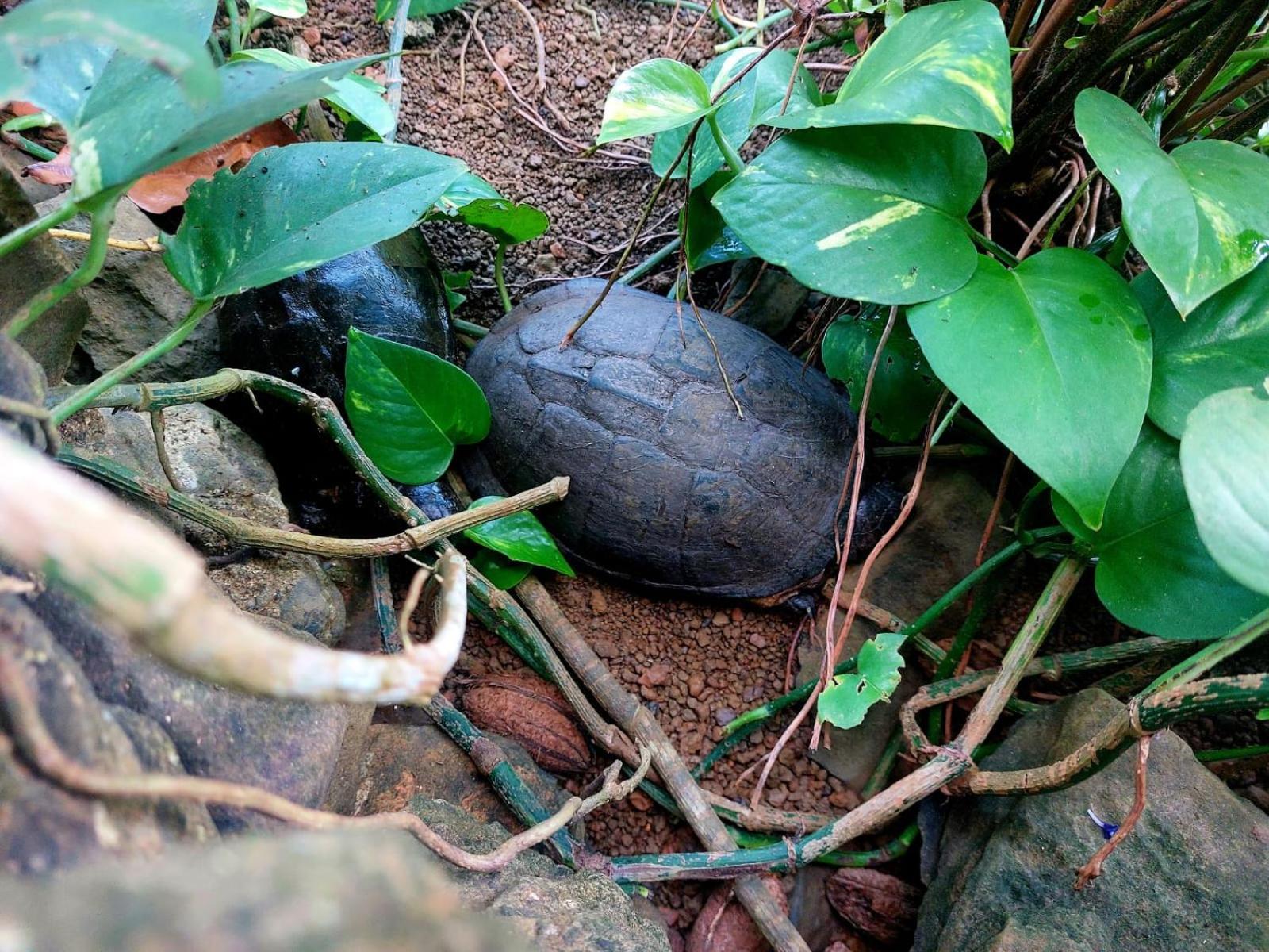 Villa Gente D'Aqui Nge D'Ai Ee Sao Tome Esterno foto